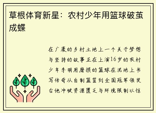 草根体育新星：农村少年用篮球破茧成蝶